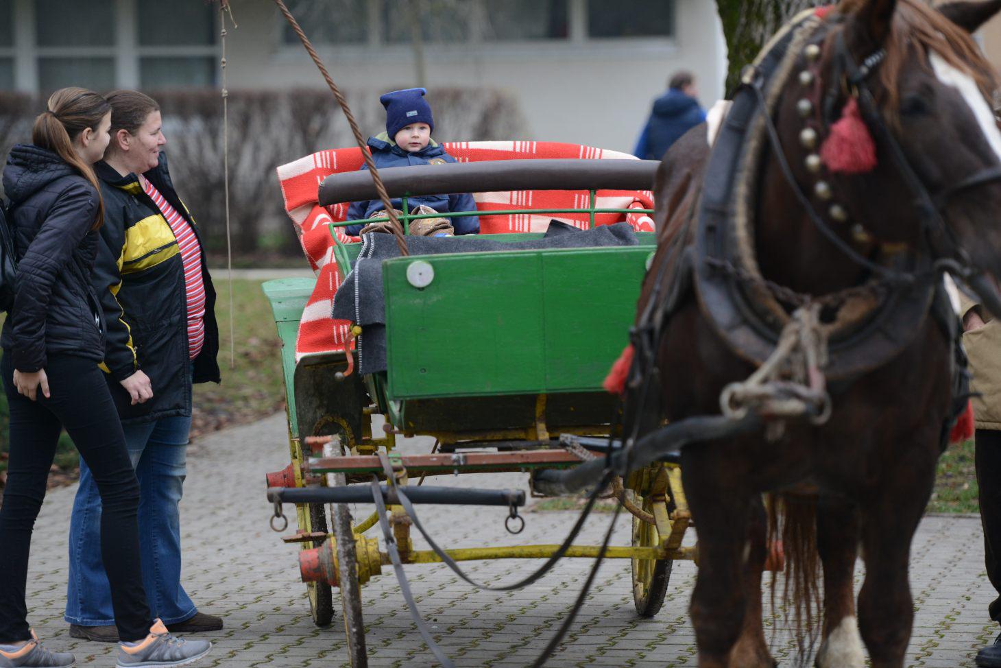 Fotogaléria Mikuláš 2015 (160) Mikuláš 2015